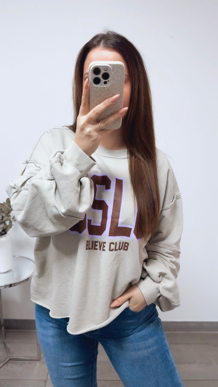 Sweater " Believe Club ", used Elemente / beige grau Art. 13836