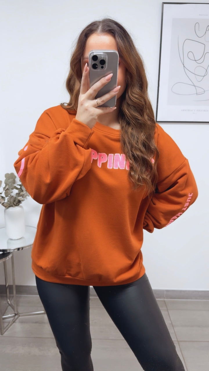 HAPPINESS Sweater / rost - soft pink Art. 13148