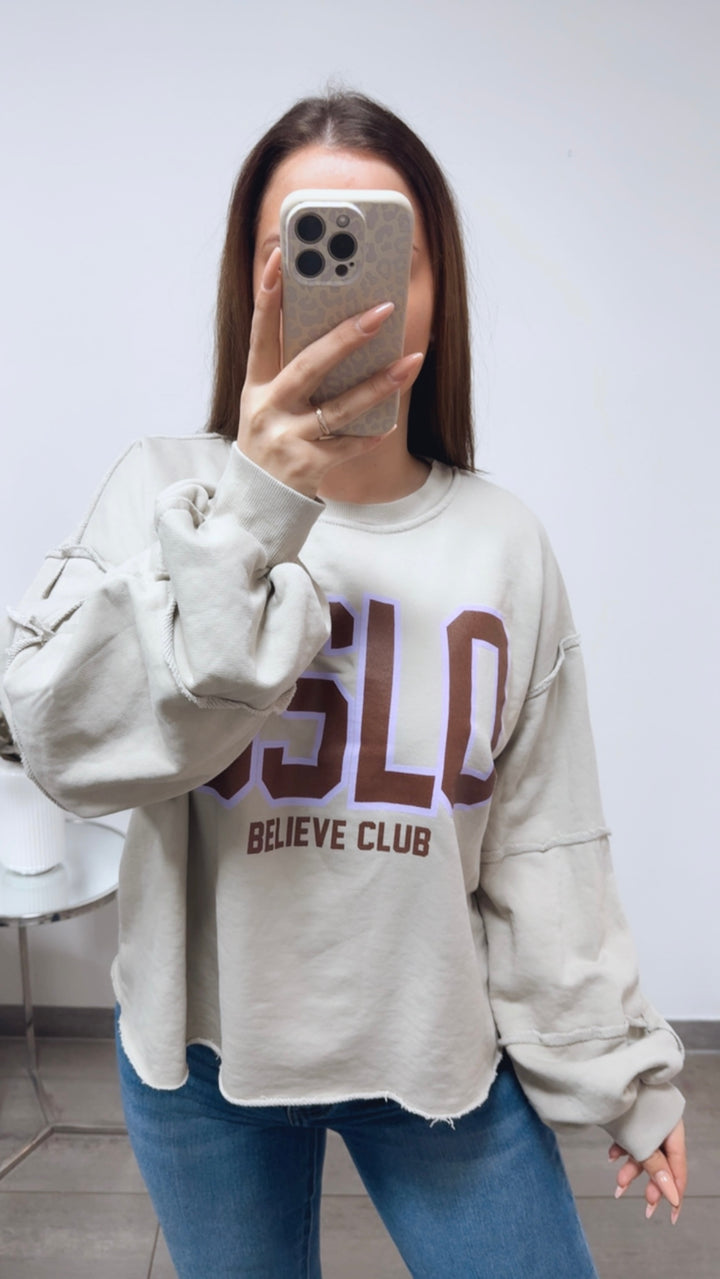 Sweater " Believe Club ", used Elemente / beige grau Art. 13836