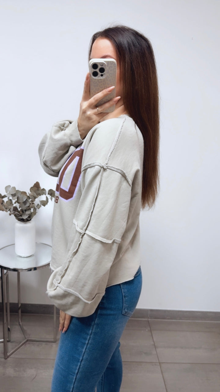 Sweater " Believe Club ", used Elemente / beige grau Art. 13836