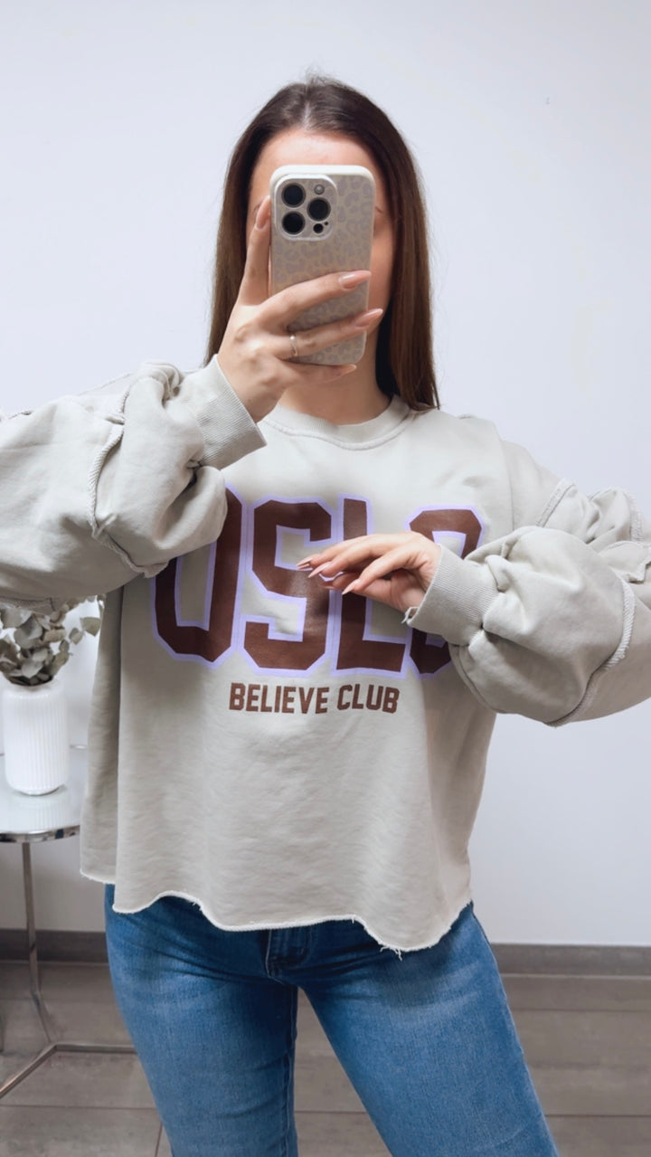 Sweater " Believe Club ", used Elemente / beige grau Art. 13836