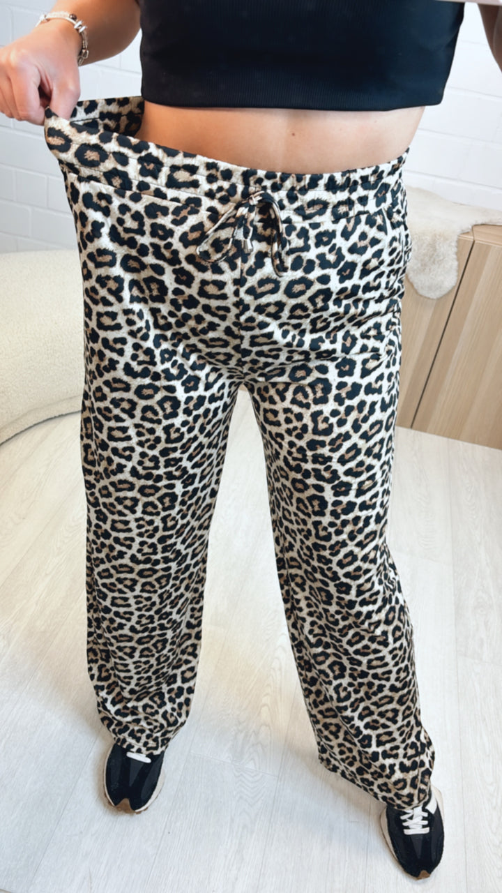 weiche Leo Hose mit Gummibund / Leo HELL Art. 9088