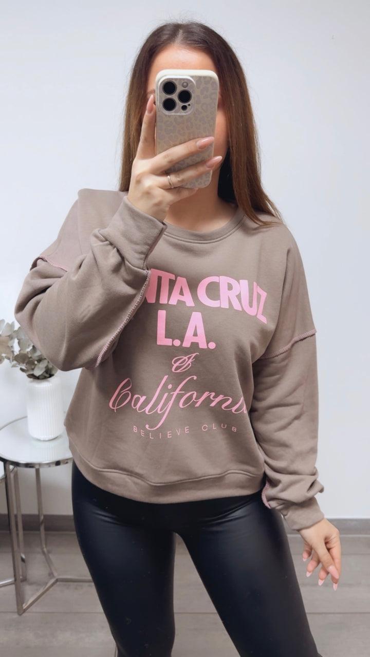 Sweater " Cruz California " / taupe - soft pink Art. 13612